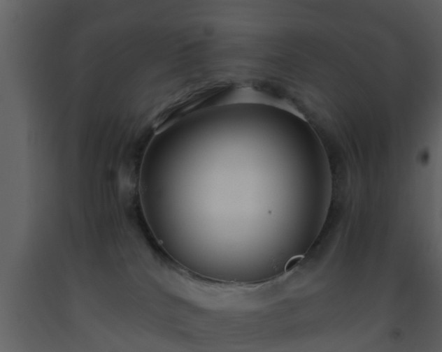 X0000093530040200710191402