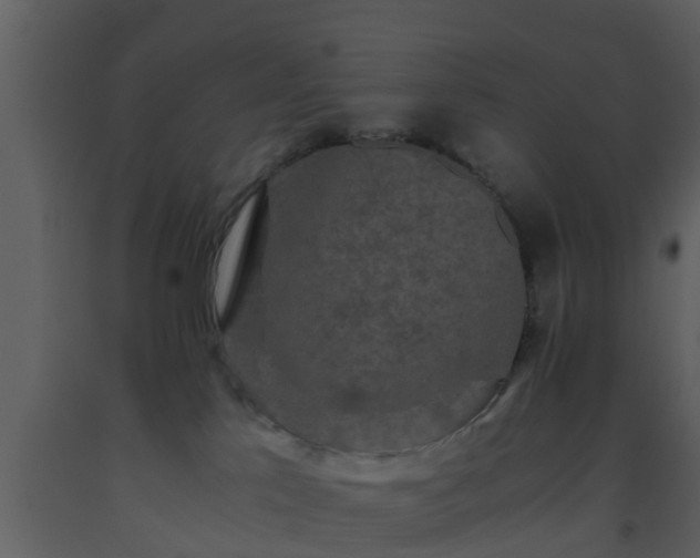 X0000093530041200710191402