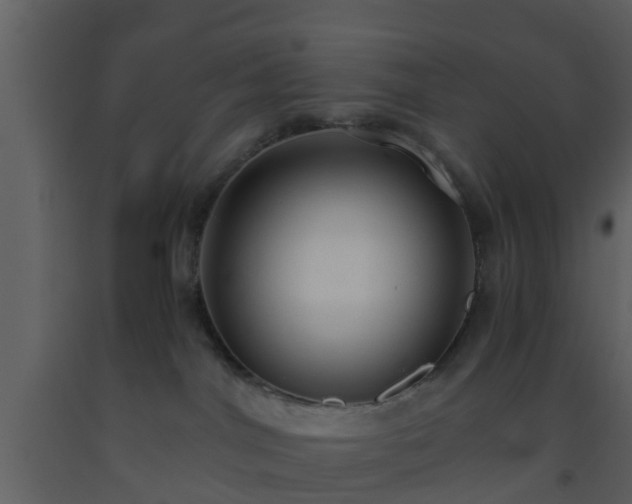 X0000093530044200710191402