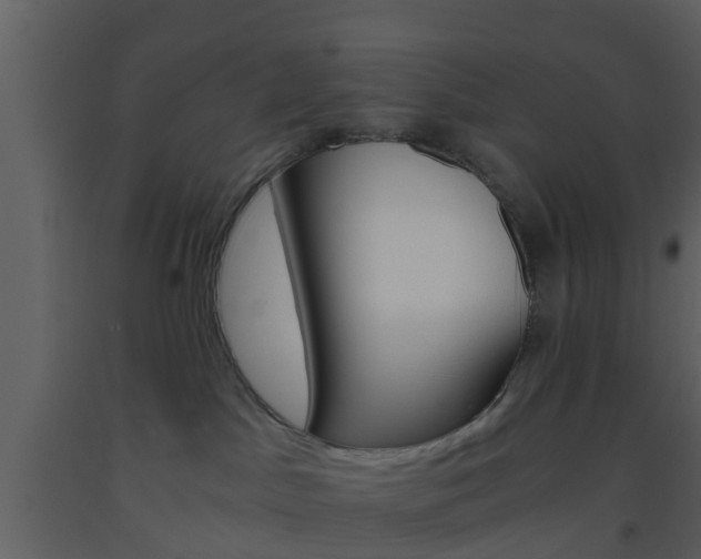 X0000093530045200710191402