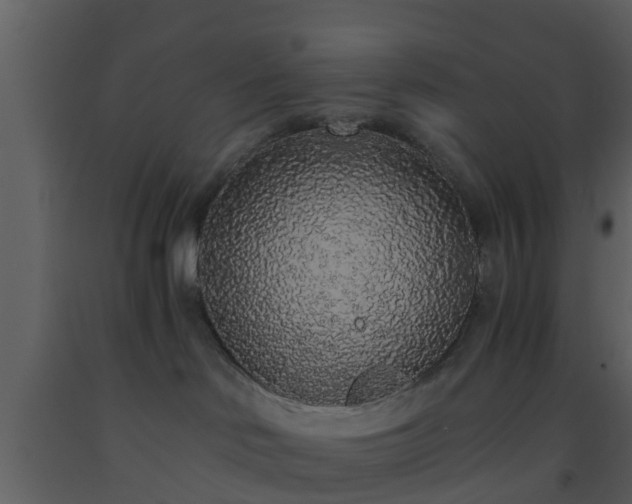 X0000093530046200710191402