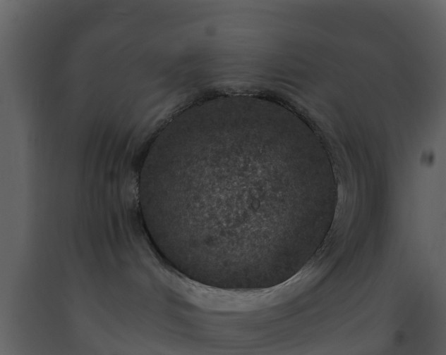 X0000093530048200710191402