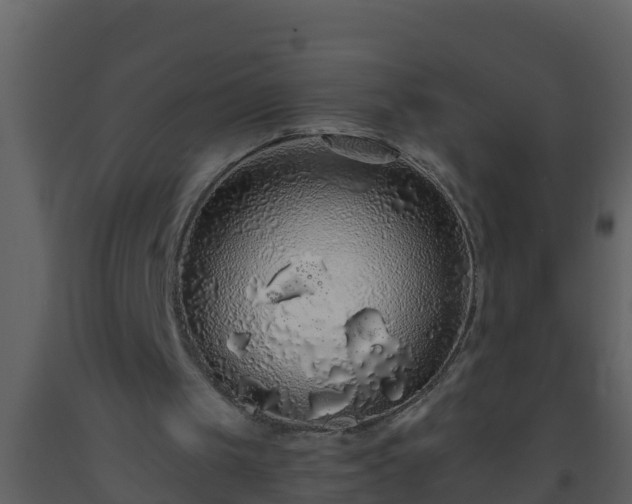 X0000093530049200710191402