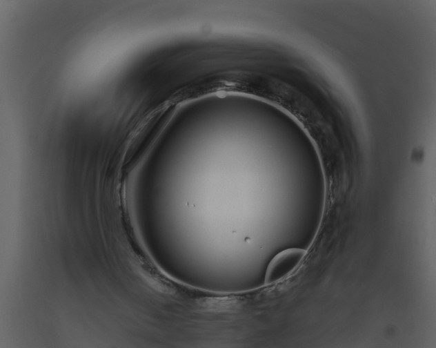 X0000093530050200710191402