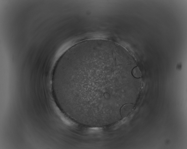 X0000093530053200710191402