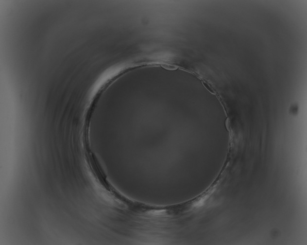 X0000093530054200710191402