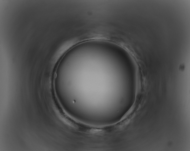 X0000093530055200710191402