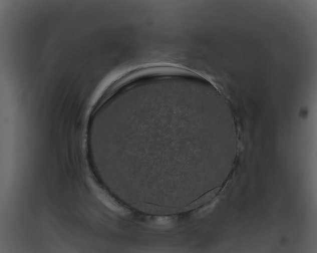 X0000093530056200710191402