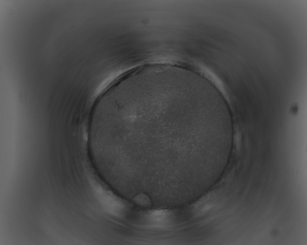 X0000093530059200710191402