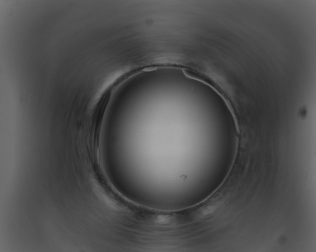 X0000093530060200710191402