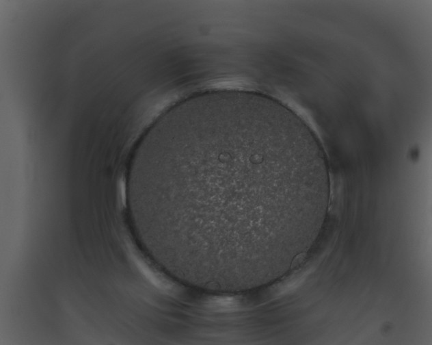 X0000093530061200710191402