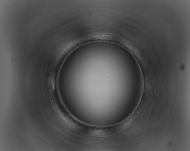 X0000093530062200710191402