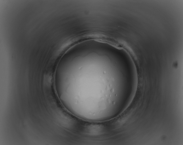 X0000093530063200710191402