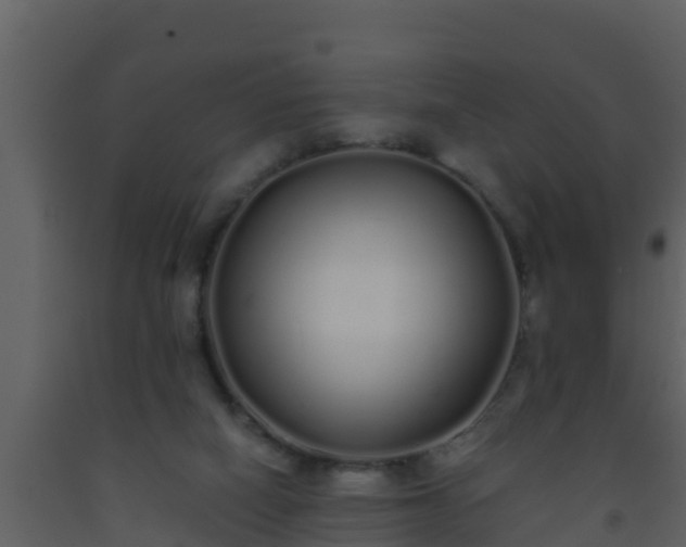 X0000093530066200710191402