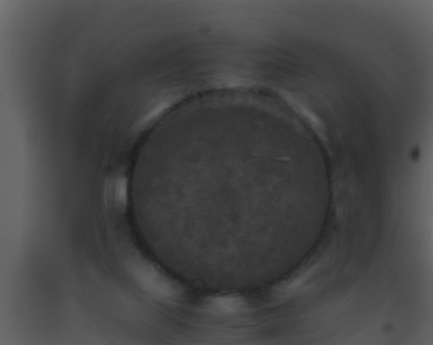 X0000093530067200710191402