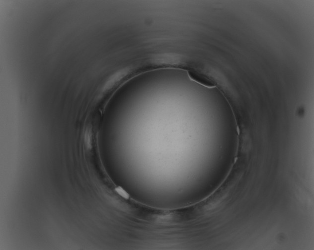 X0000093530068200710191402