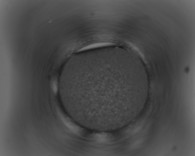 X0000093530069200710191402