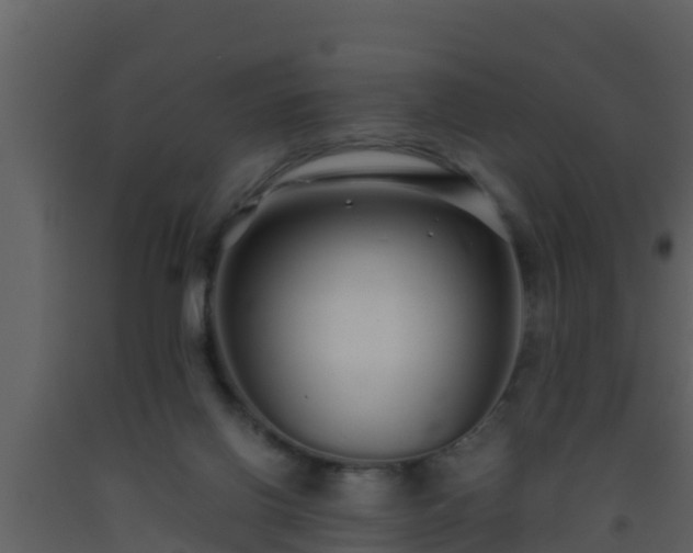 X0000093530070200710191402