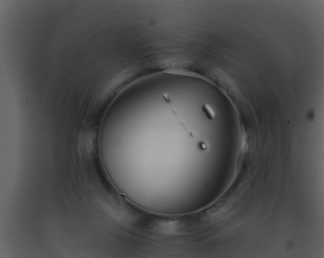 X0000093530071200710191402