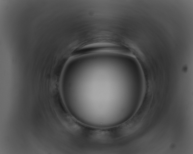 X0000093530073200710191402