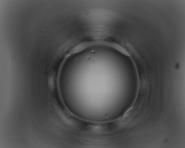 X0000093530074200710191402