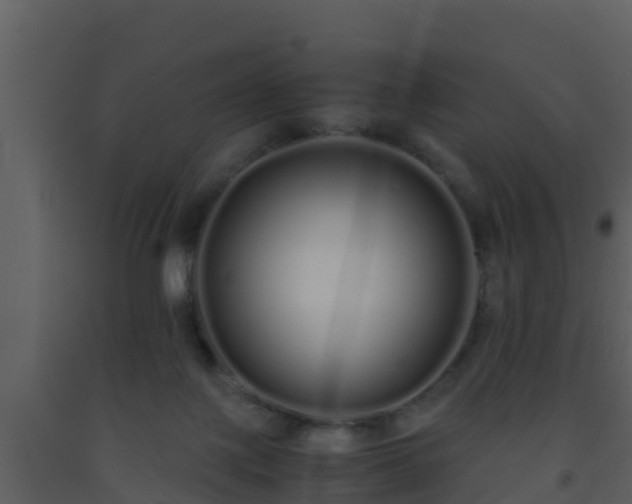 X0000093530075200710191402