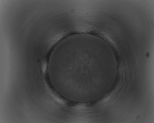 X0000093530076200710191402