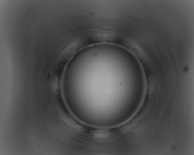 X0000093530077200710191402