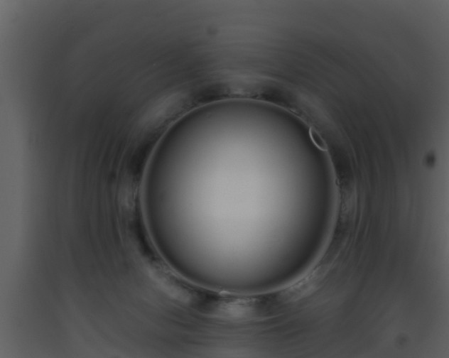 X0000093530078200710191402