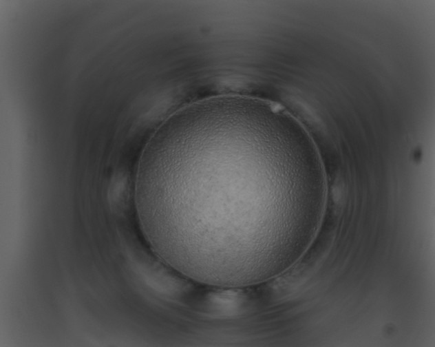 X0000093530079200710191402