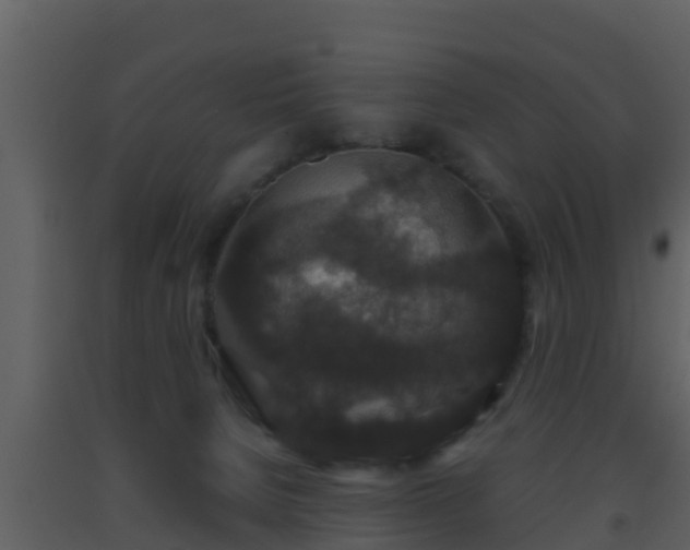 X0000093530080200710191402