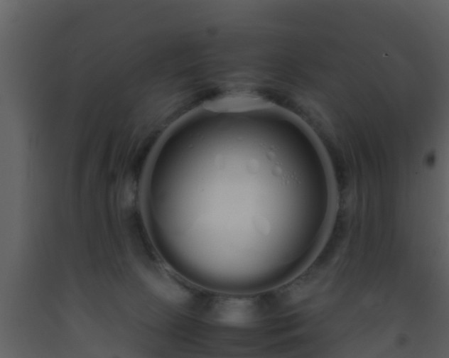 X0000093530081200710191402