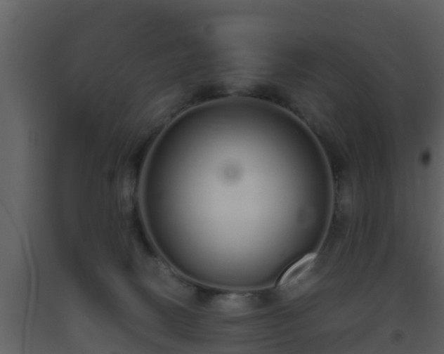 X0000093530082200710191402