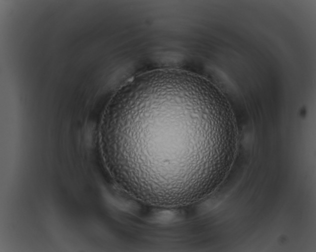 X0000093530083200710191402