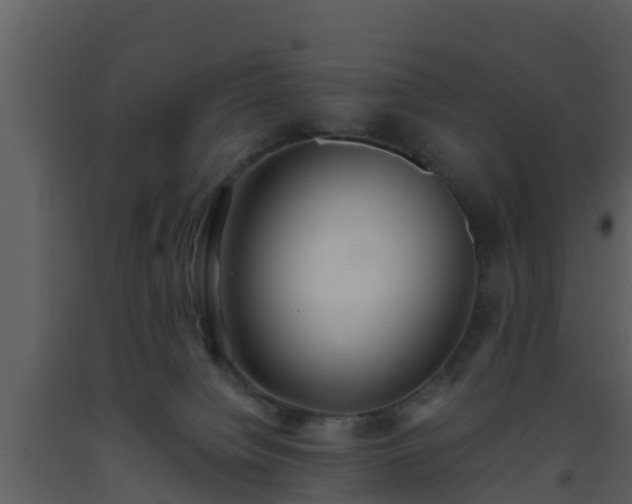 X0000093530084200710191402