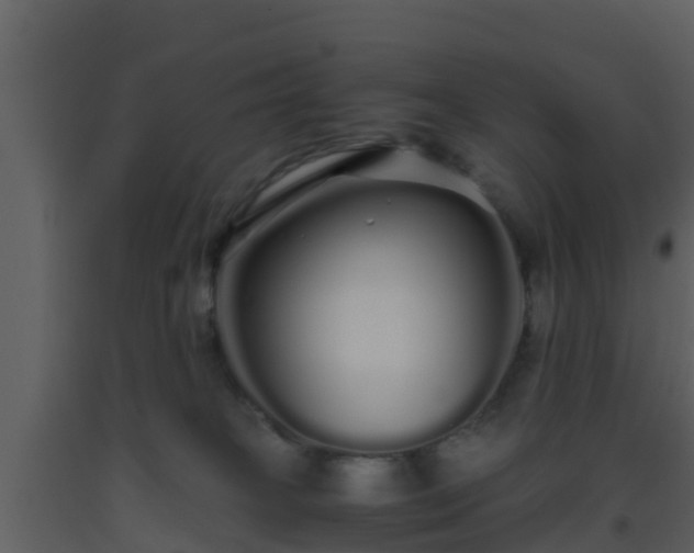 X0000093530085200710191402