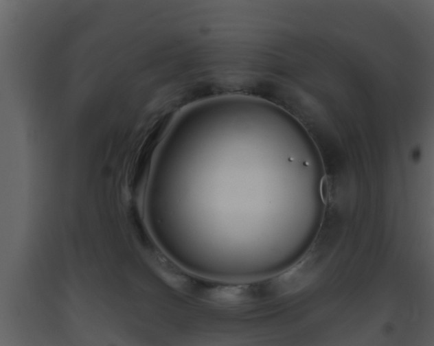 X0000093530086200710191402