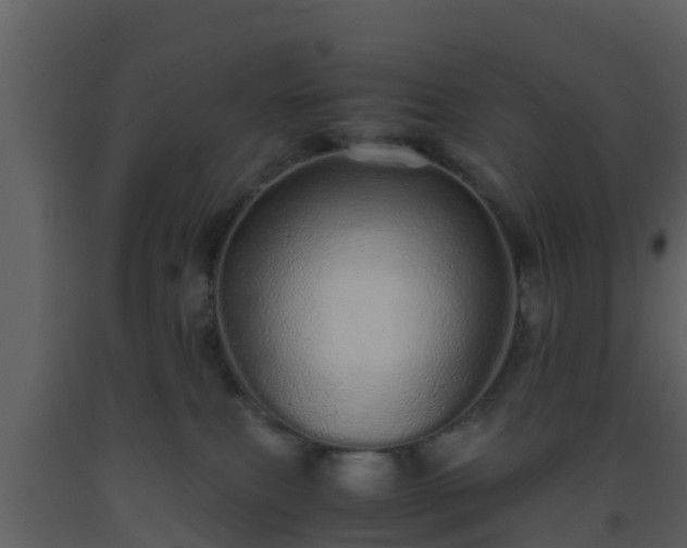 X0000093530087200710191402