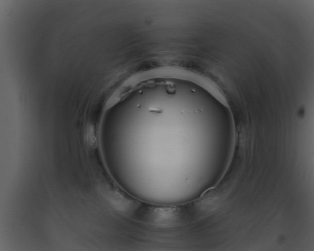 X0000093530089200710191402