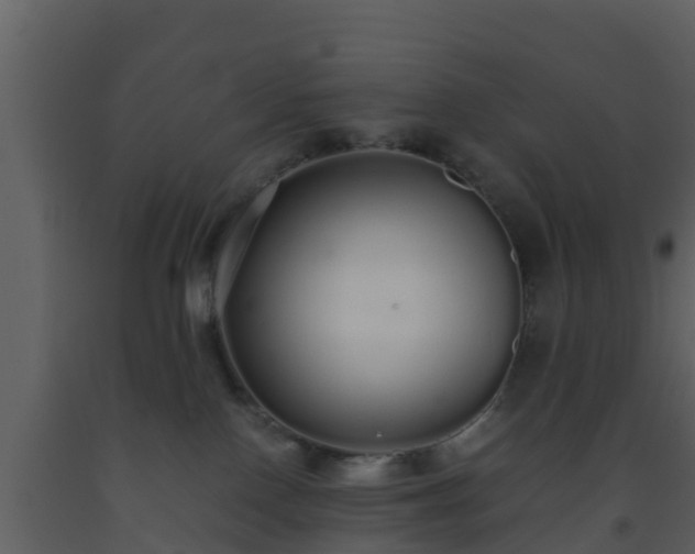 X0000093530090200710191402