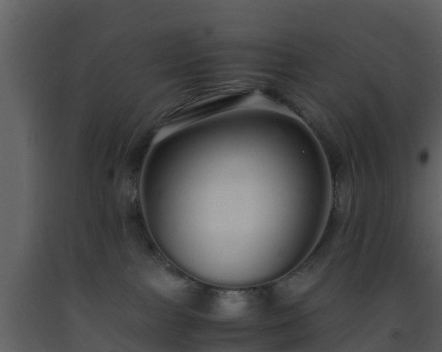 X0000093530091200710191402