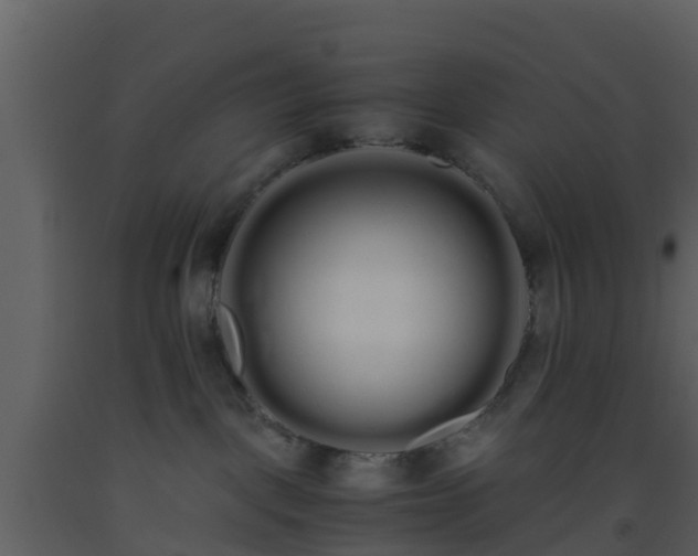 X0000093530093200710191402