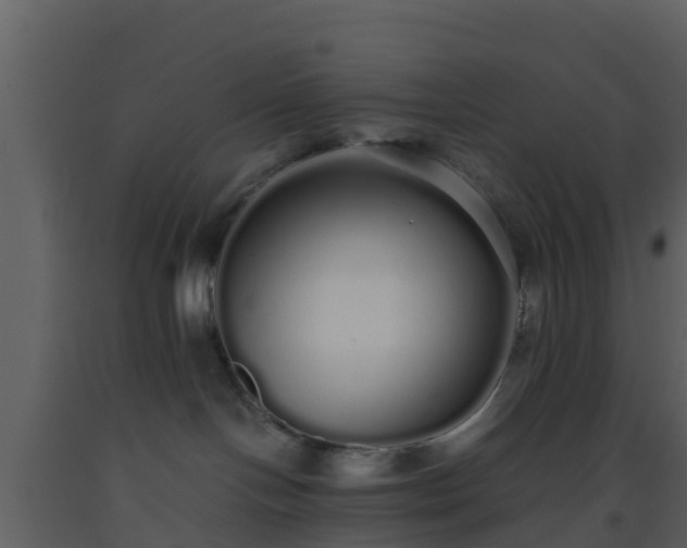 X0000093530094200710191402