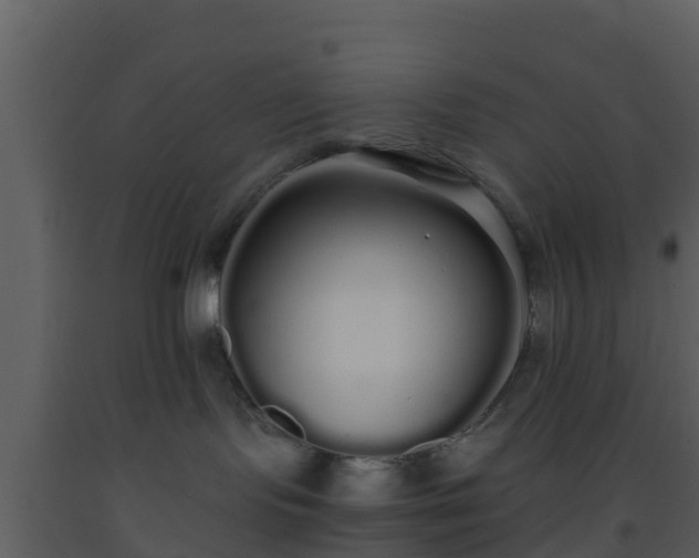 X0000093530095200710191402