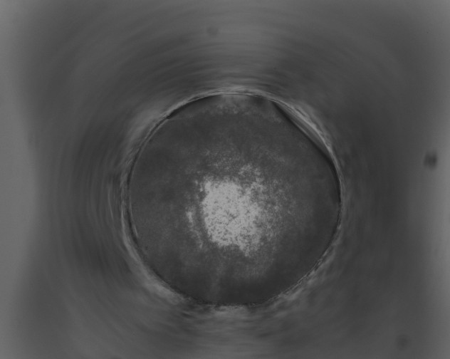 X0000093530097200710191402