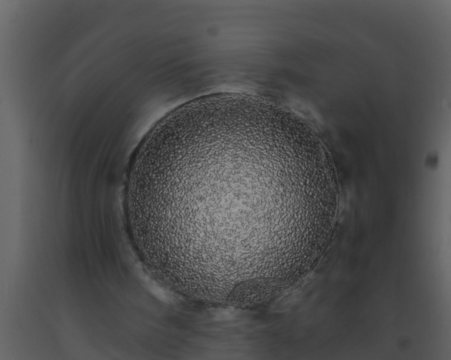 X0000093530098200710191402