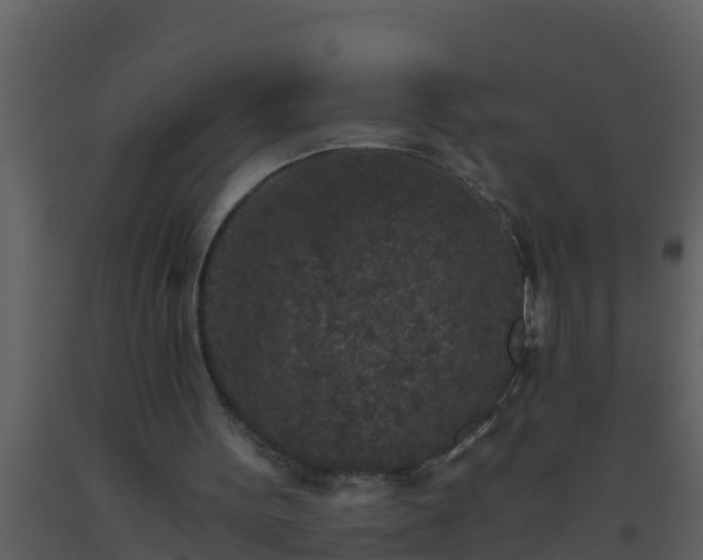 X0000093530099200710191402