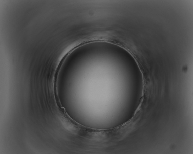 X0000093530100200710191402