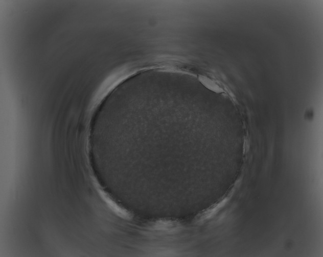 X0000093530101200710191402