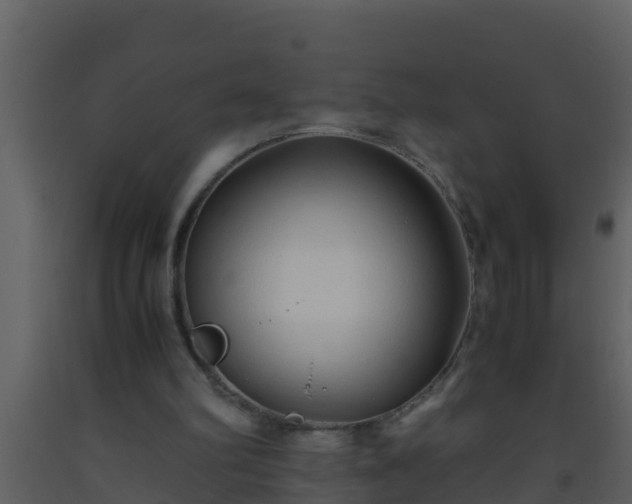 X0000093530102200710191402